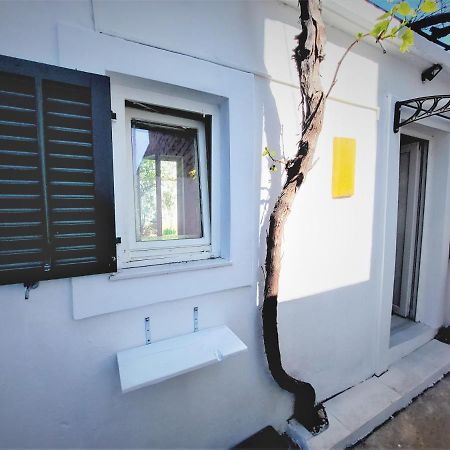 Studio Apartment Murter Center المظهر الخارجي الصورة